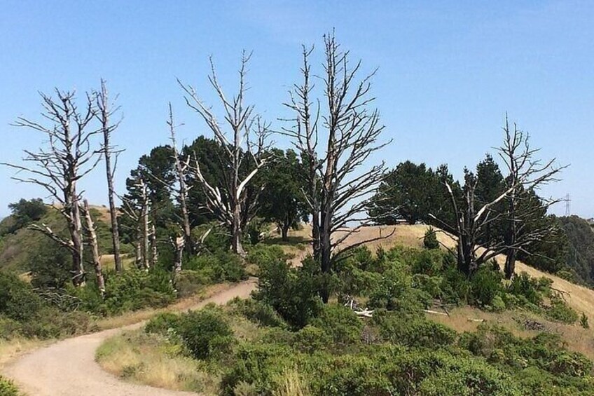 A Drive Through Time: A Ranching History of Point Reyes National Seashore