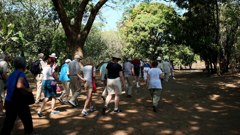 Show item 4 of 5. Tour group in El Salvador ruins