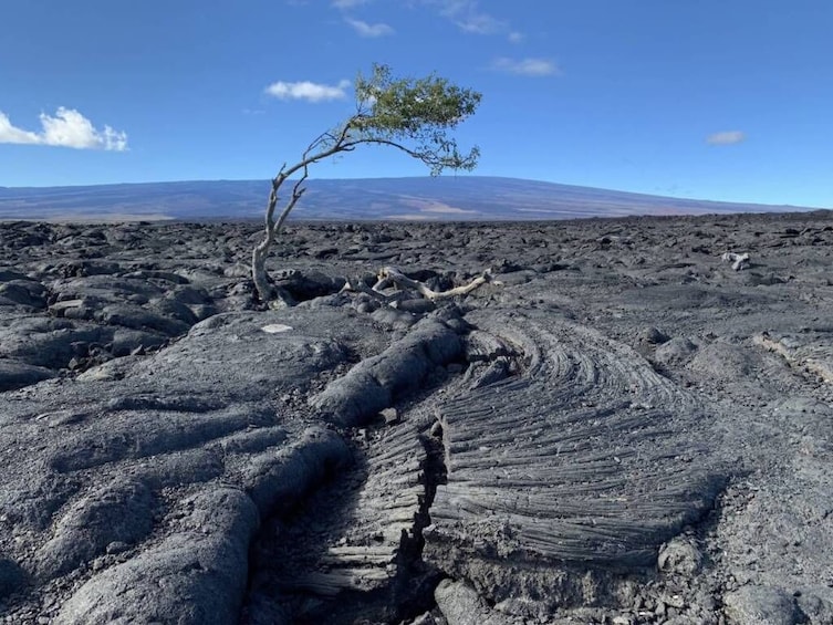 Big Island Waterfalls Adventure