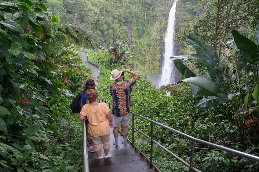 Waipio Valley and Waterfalls Adventure