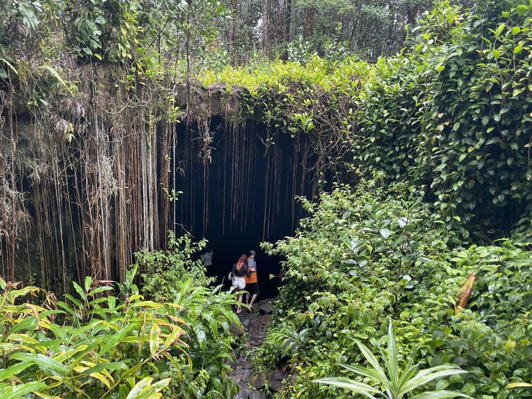 Waipio Valley and Waterfalls Adventure