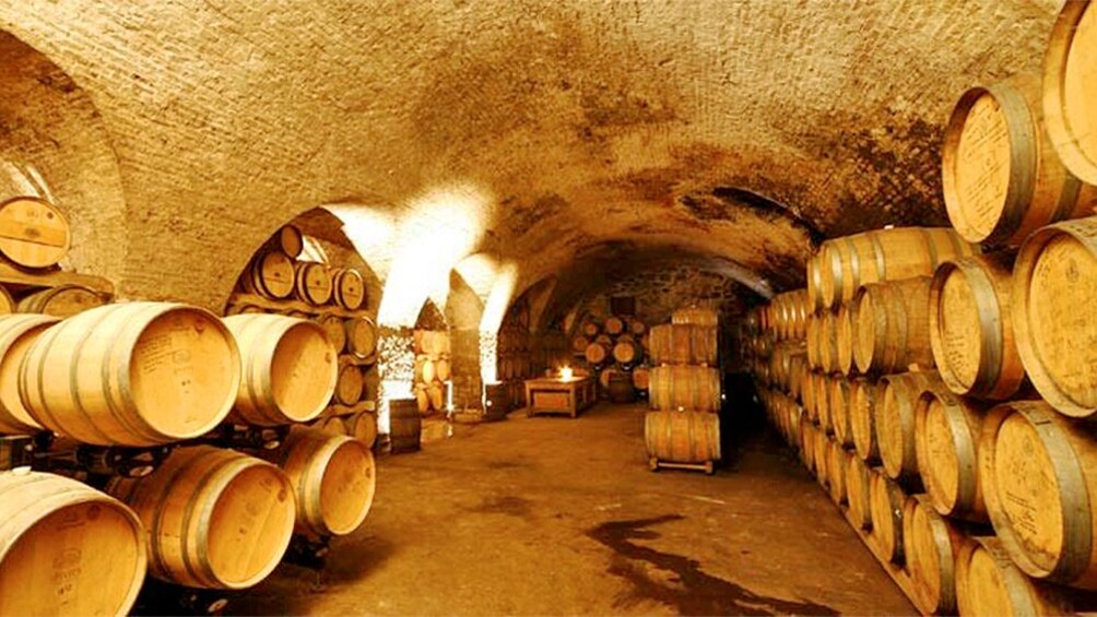 Wine cellar on the Bodega Juanico Wine Tasting & Tour in Uruguay