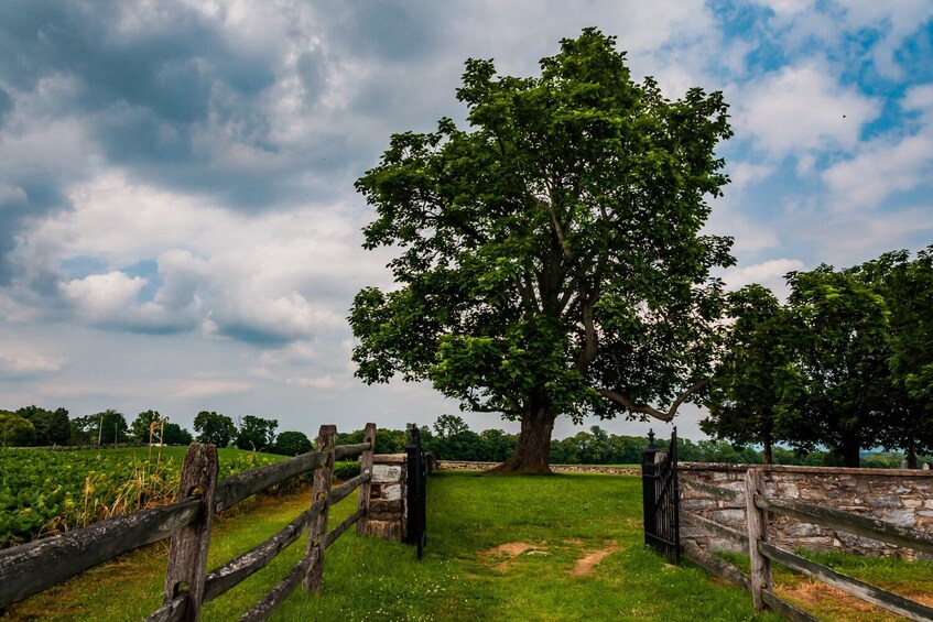 Sharpsburg: Antietam Battlefield Self-Guided Driving Tour