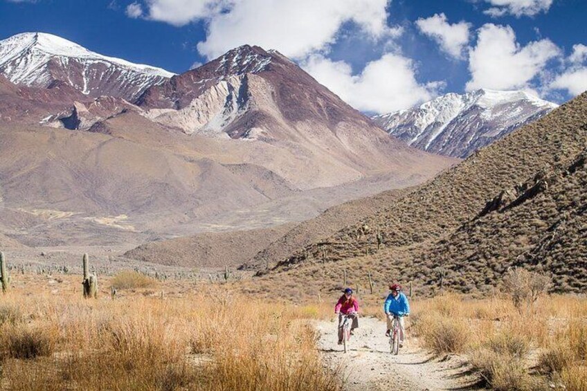 Mountain biking