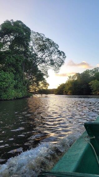 Caroni Wetlands Sunset Boat Tour