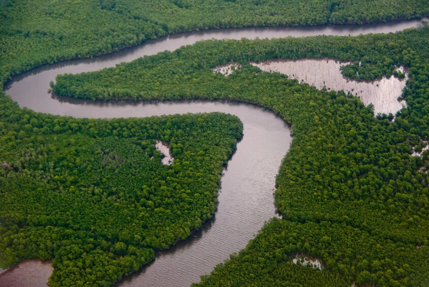 Caroni Wetlands Sunset Boat Tour