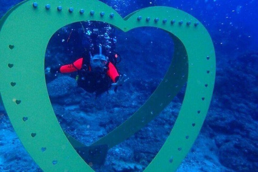 The heart of the ocean, the determination to protect the ocean, and the love of ecology.