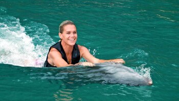 Dolphin Swim Adventure at Dolphin Cove