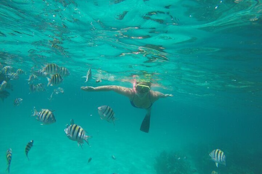 Snorkel at a beautiful reef teaming with fish.