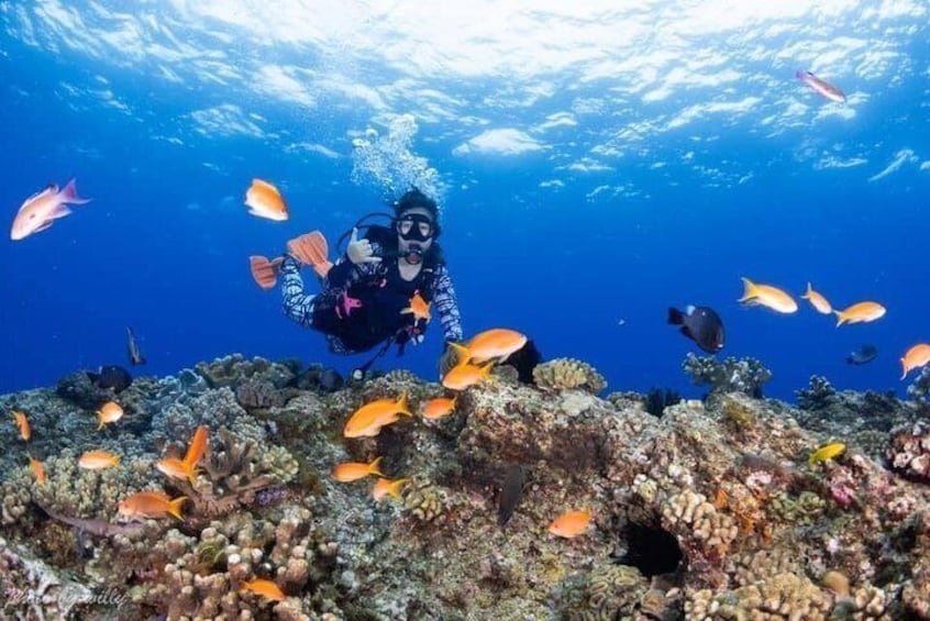 Kenting Taiwan Diving-PADI International Diving License Open Water Chinese Course for Beginner Diver