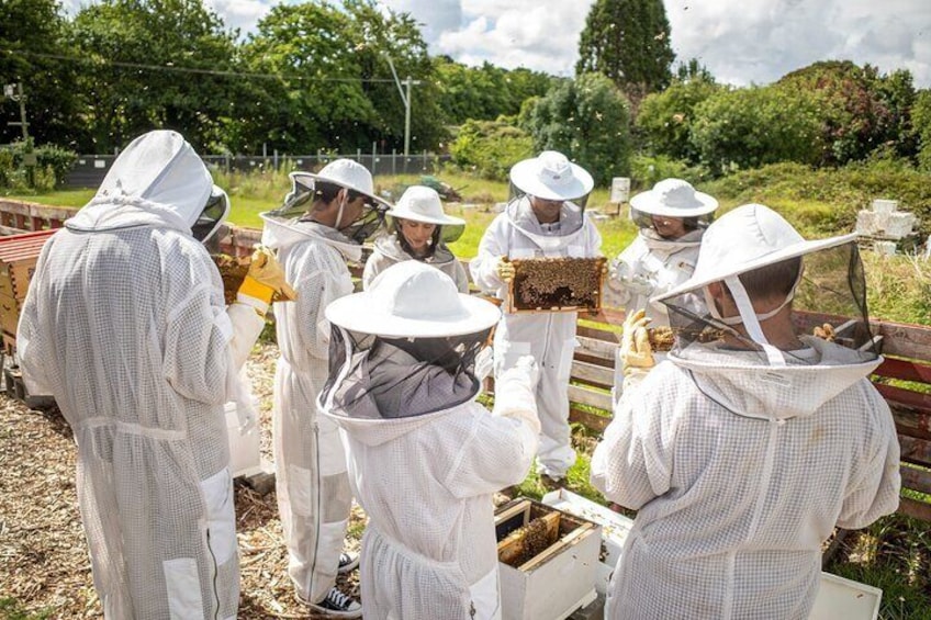 Learn beekeeping or come along for an experience.