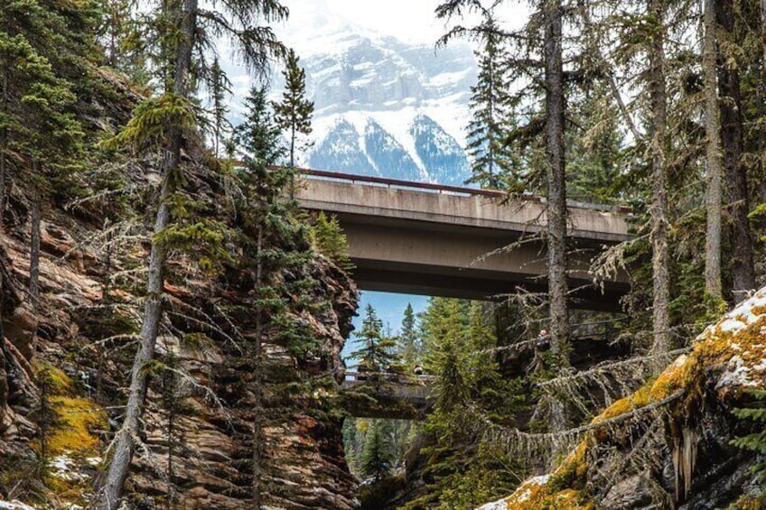 GPS-Guided Driving Tour: Icefields Parkway between Lake Louise & Jasper, Alberta