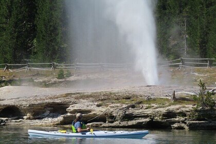 4-Hour Morning Kayak on Yellowstone Lake with Lunch