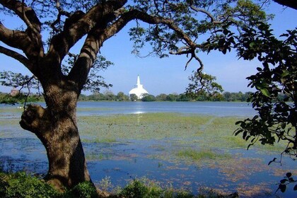 Anuradhapura Private Day Trip from Colombo, Negombo, or Katunayaka