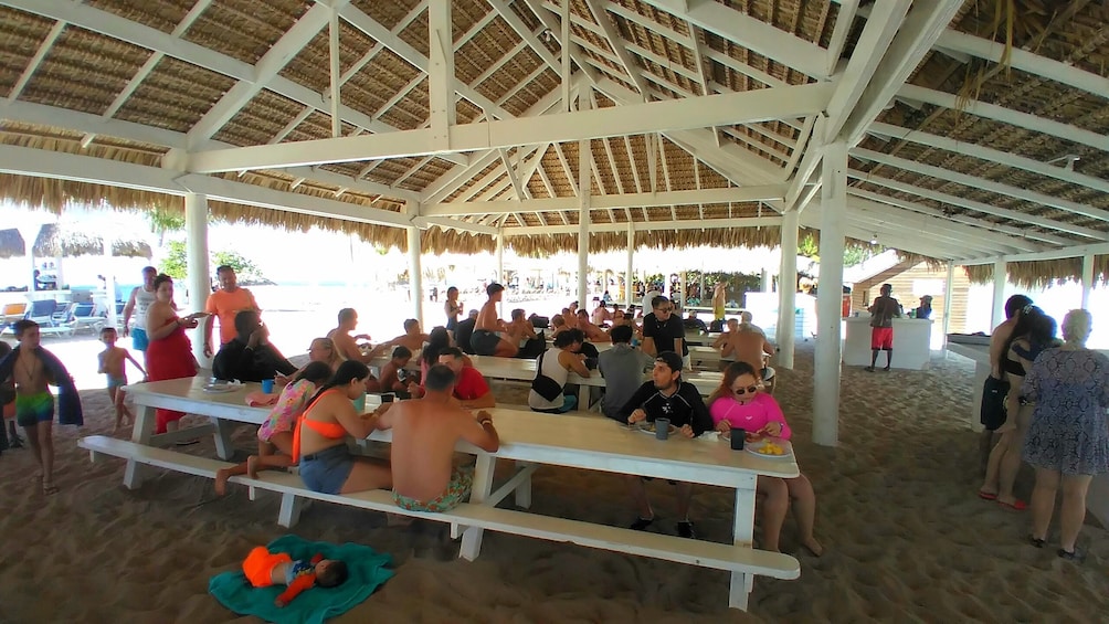 Catalina Island Party Boat with Snorkeling and Lunch