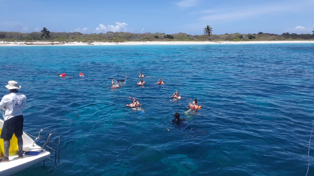 Catalina Island Deluxe - Full Day Snorkeling Experience