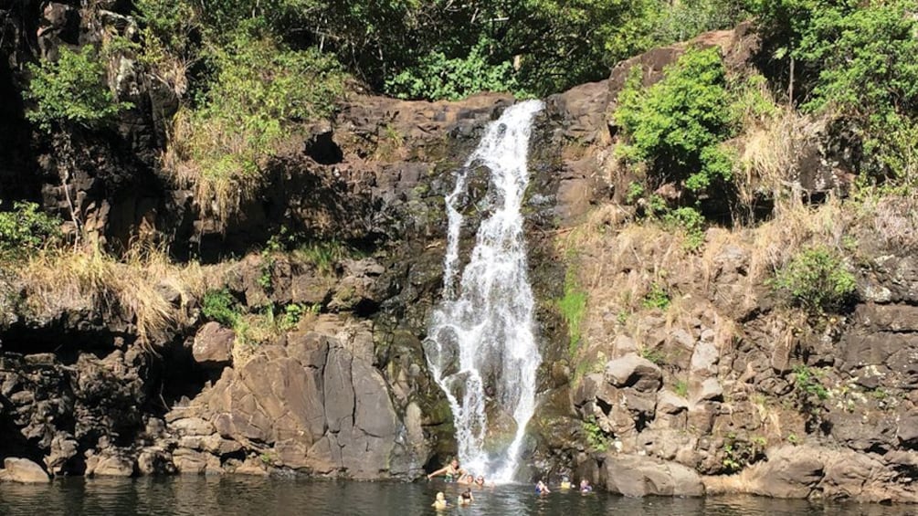 Waimea Falls with people swimming in a pool below