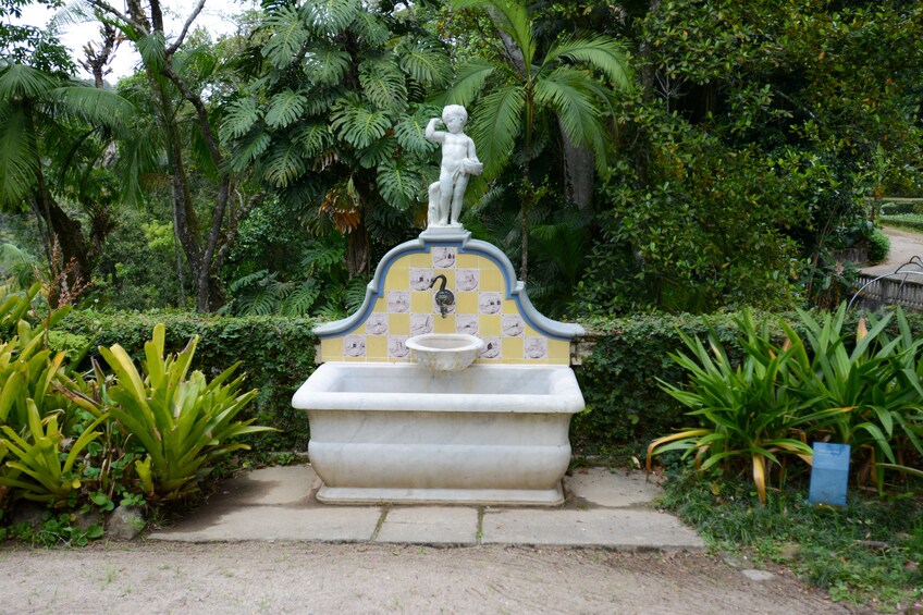 Tijuca National Park Private Tour and Photo Shoot