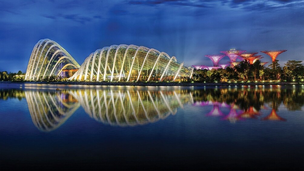 Sands SkyPark & Gardens by the Bay Night Out