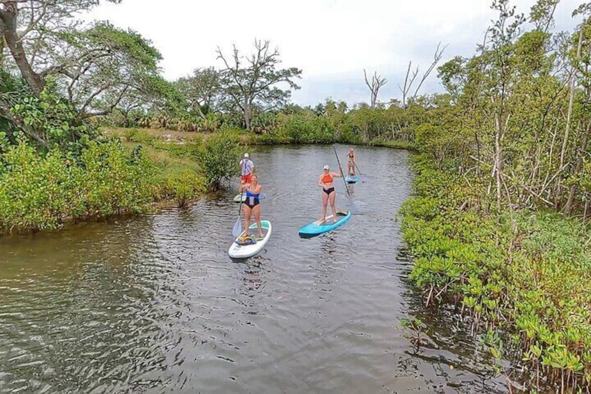 Paddle Boarding Eco Adventure Tour Jupiter Florida - Singer Island