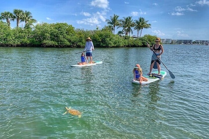 Paddle Boarding Eco Adventure Tour Jupiter Florida - Singer Island