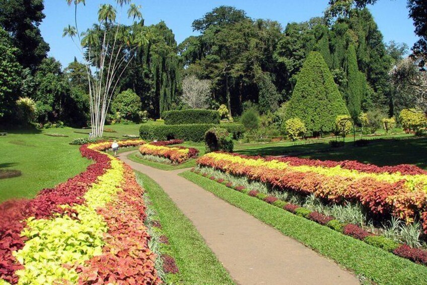 Kandy City Tour From Negombo