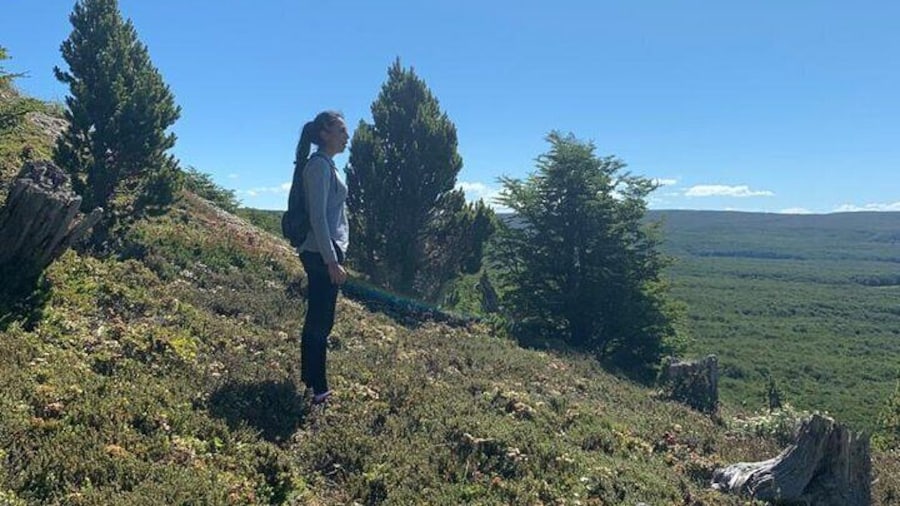 Magallanes National Reserve and Punta Arenas City Tour