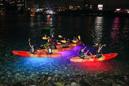 Visite guidée nocturne en kayak de Porto Rico dans la lagune de Condado