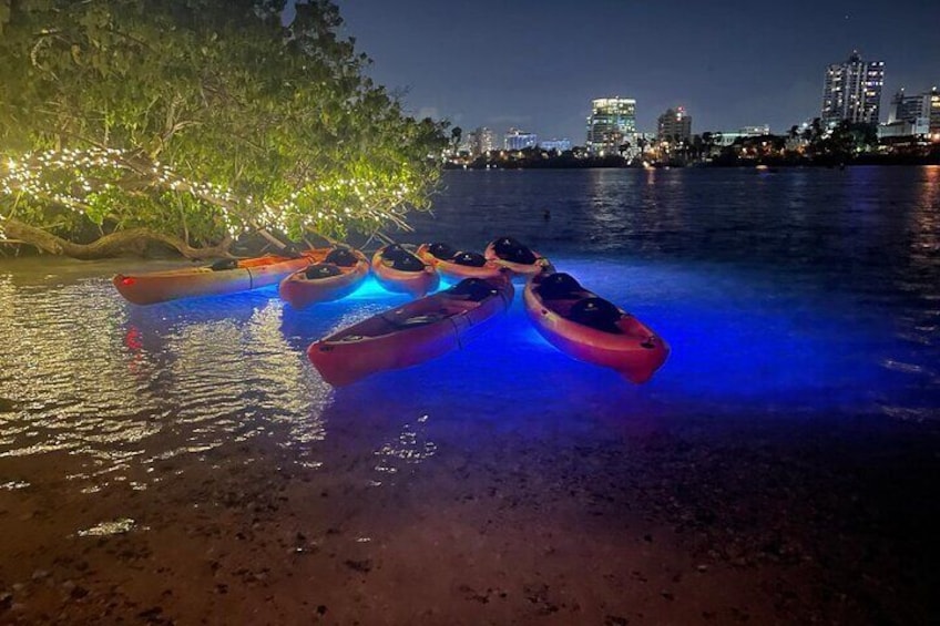 Night Kayak Guided Tour through the Condado Lagoon