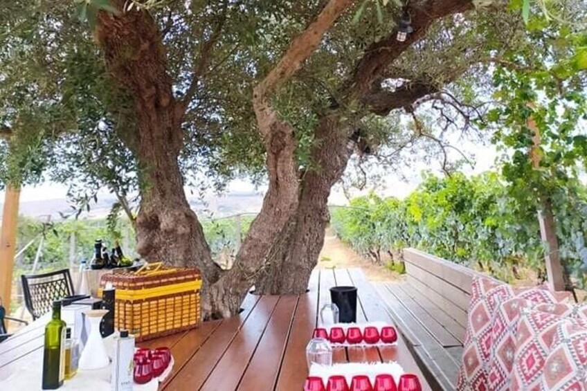 Gastronomy Diaries in Heraklion