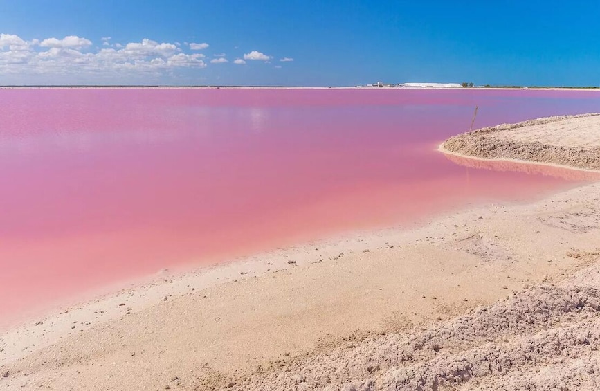 Gorgeous Natural Pink Lake, Las Coloradas 