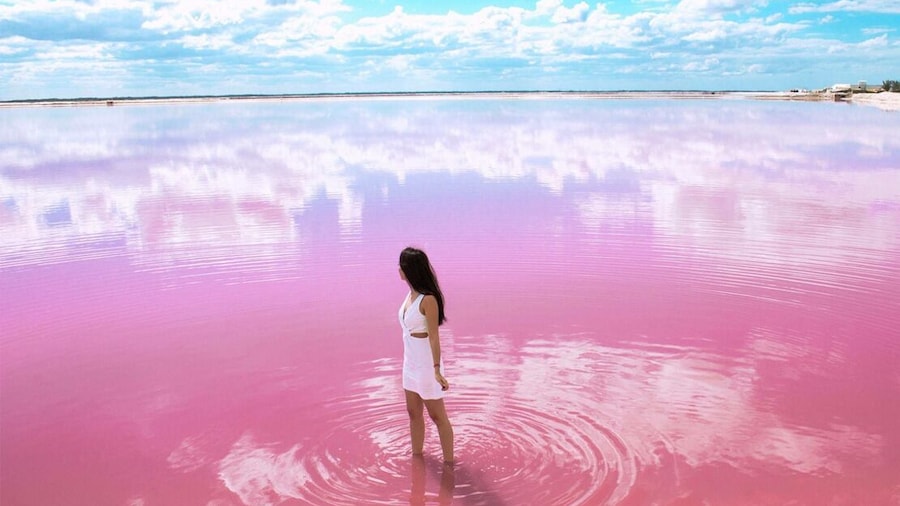 Gorgeous Natural Pink Lake, Las Coloradas