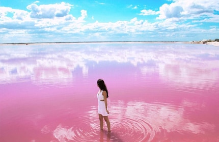 Gorgeous Natural Pink Lake, Las Coloradas 