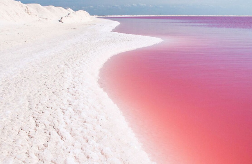 Gorgeous Natural Pink Lake, Las Coloradas 