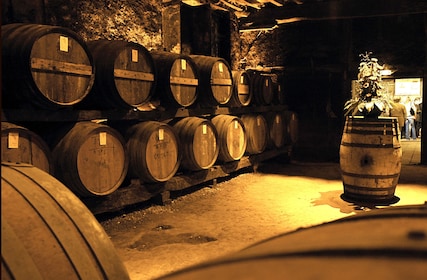 Tour vinícola de coñac: excursión privada de un día desde Burdeos