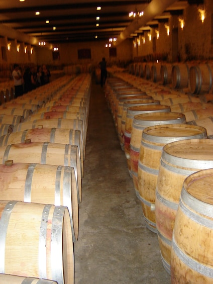 Private Medoc Half Day Wine Tour from Bordeaux 