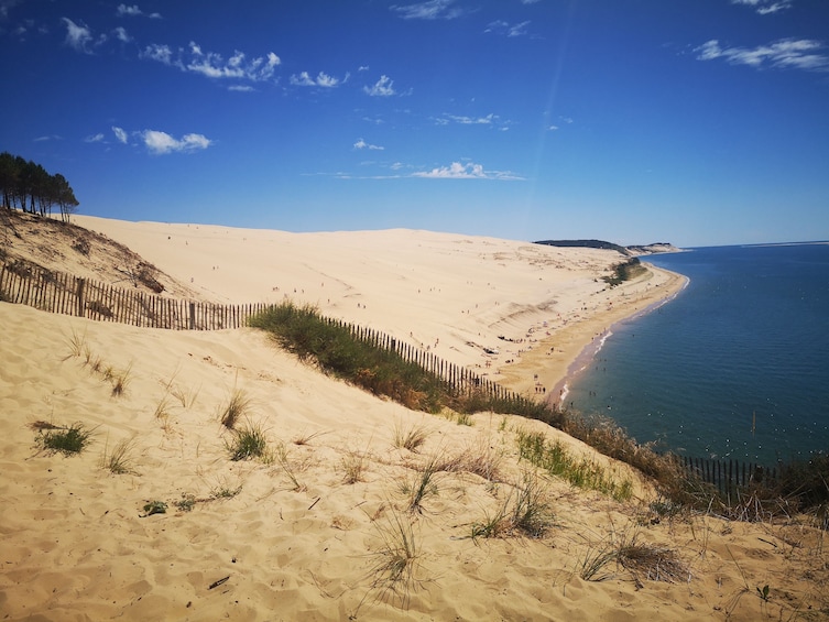 Arcachon Bay and Pilat Sand Dune from Bordeaux