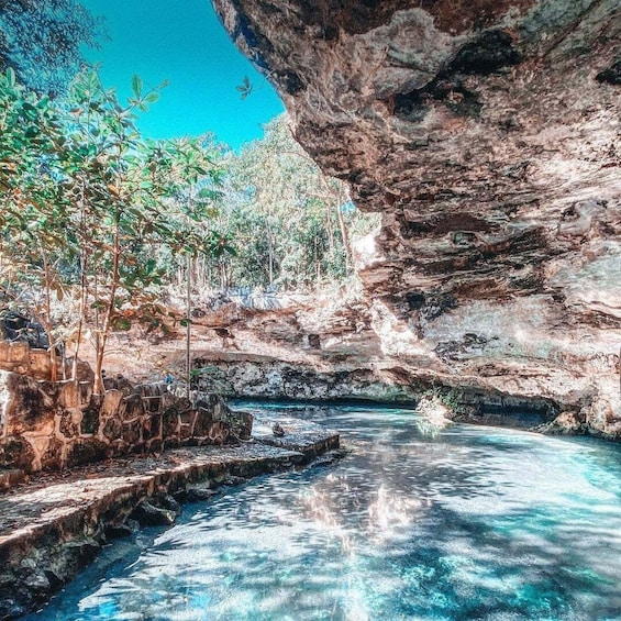 Nature Experience at Casa tortuga Cenote Park + Tulum