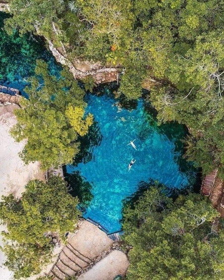 Nature Experience at Casa tortuga Cenote Park + Tulum