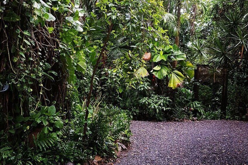 Pathway to ultimate relaxation.