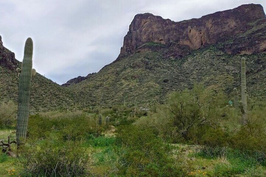 Picacho Peak