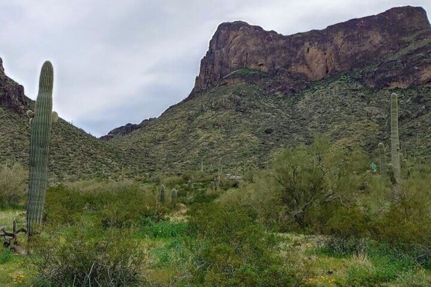 Picacho Peak