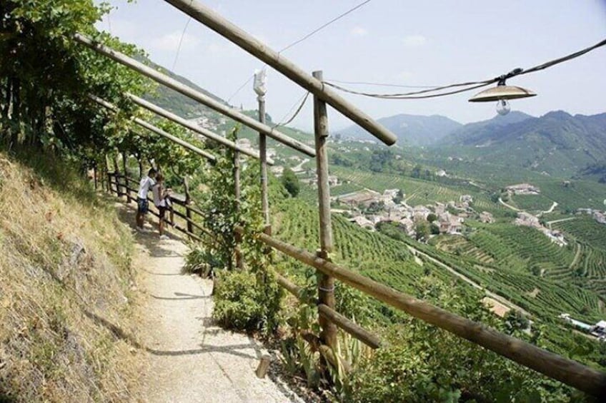 Half Day Tour in the Prosecco Hills Tour from Padua