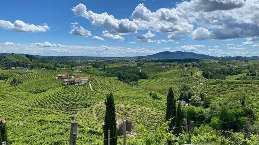 Tour in the Prosecco Hills Tour from Padua