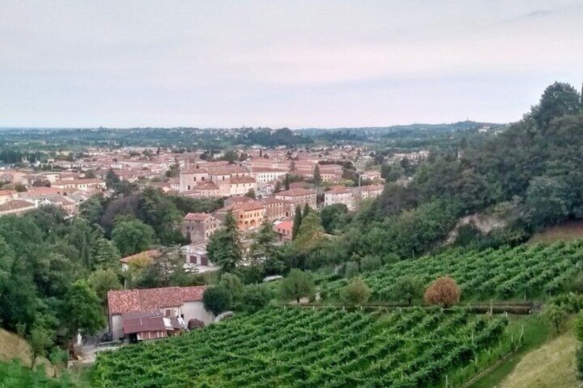 Half Day Tour in the Prosecco Hills Tour from Padua