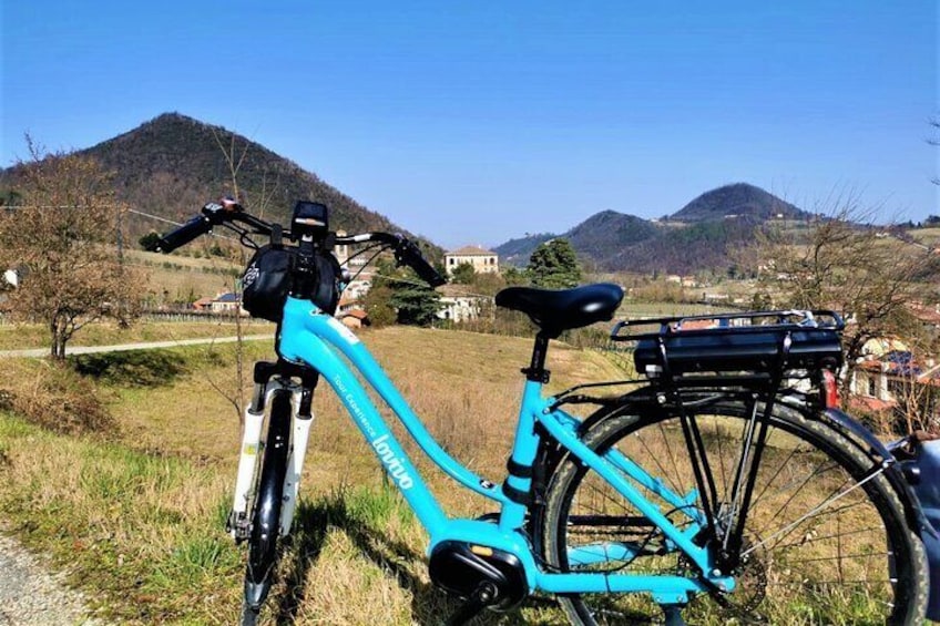 Half-Day Bike Tour at Villa dei Vescovi