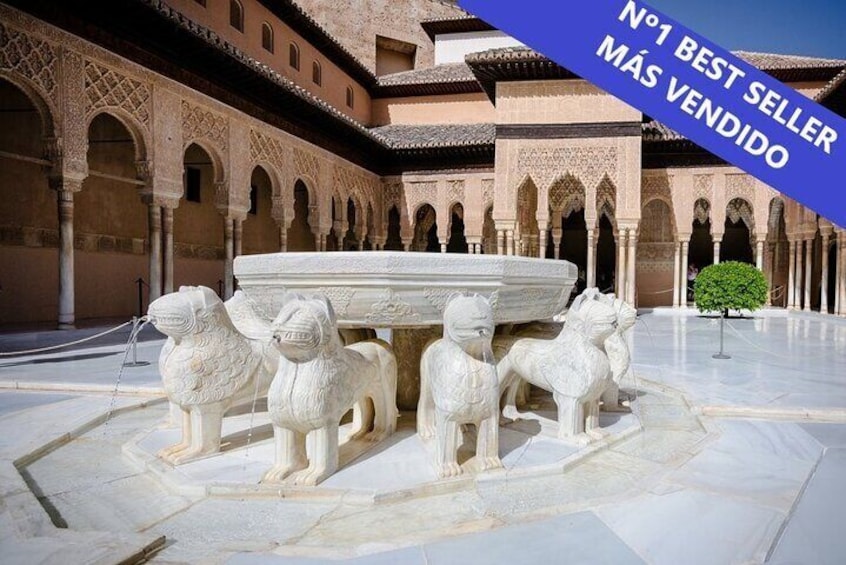 Complete Alhambra with tour guide - Avoid individual queues