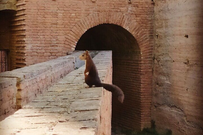 Private Tour in Alhambra with Guide and Skip The Line Entry