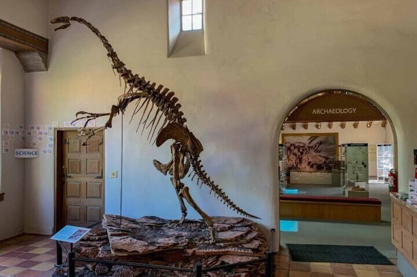 Museum of Northern Arizona