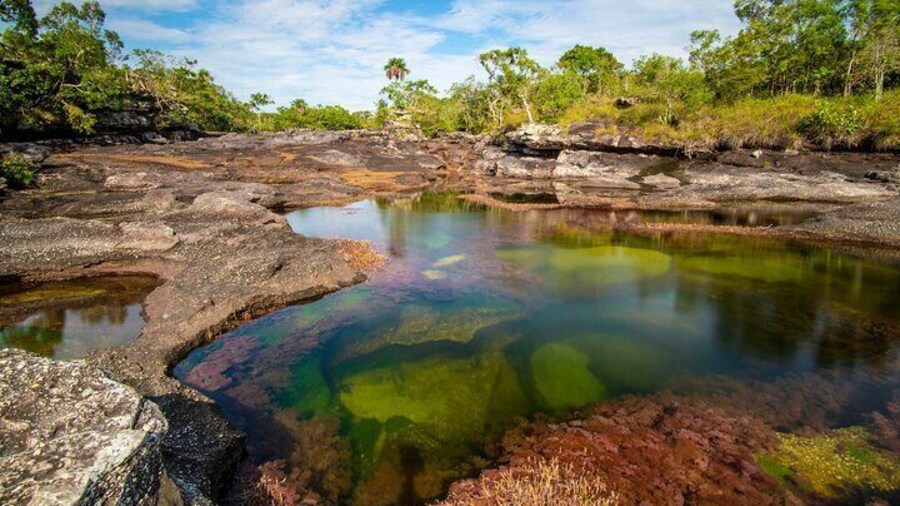Caño Cristales Private 3-Day Trekking Tour from Bogota